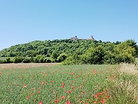 IMG_20250530_120556198