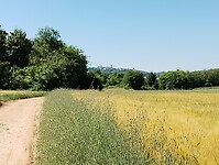 IMG_20250530_110421163