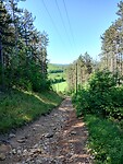 IMG_20250530_102159930_HDR