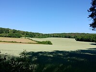 IMG_20250530_093954342_HDR