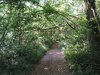 IMG_20250530_091241282