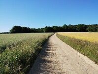 IMG_20250530_090550946