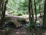 IMG_20250531_160936846