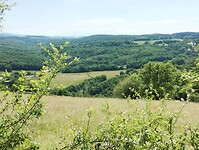 IMG_20250531_144606156