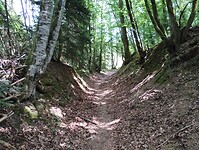 IMG_20250531_140846477