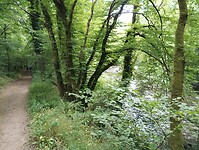 IMG_20250531_121135645