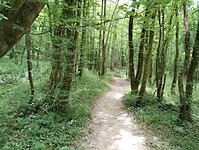 IMG_20250531_115840543
