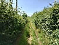 IMG_20250531_103703216_HDR
