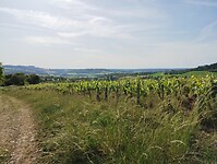 IMG_20250531_091252352