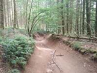 IMG_20250601_144039344
