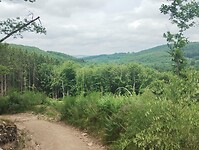 IMG_20250601_141111134