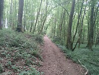 IMG_20250601_131134414