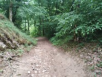 IMG_20250601_105519368