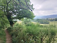 IMG_20250601_103717308_HDR
