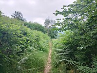 IMG_20250601_103018101_HDR
