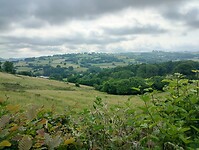 IMG_20250601_095806842_HDR