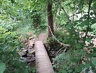 IMG_20250601_094246588