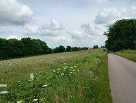IMG_20250602_165755399_HDR