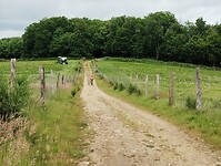 IMG_20250602_140054646