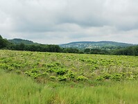IMG_20250602_140046056
