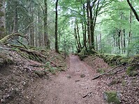 IMG_20250602_133544148