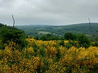 IMG_20250602_102341626_HDR
