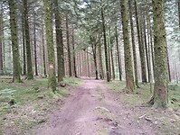 IMG_20250602_100126917