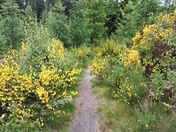 IMG_20250602_095018112