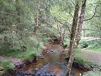 IMG_20250602_093929954