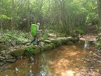 IMG-20250602-WA0008