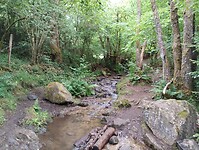 IMG_20250602_115901740