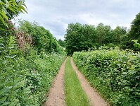 IMG_20250603_122902386_HDR