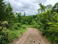 IMG_20250603_121559362_HDR