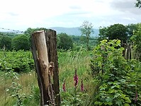 IMG_20250603_120251730