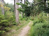 IMG_20250603_114544999