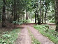 IMG_20250603_104648356