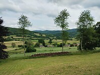 IMG_20250603_161908539