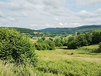 IMG_20250603_162653759