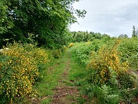 IMG_20250604_142007273_HDR
