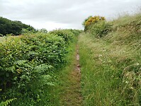 IMG_20250604_140751004