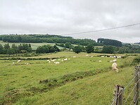 IMG_20250604_122620814