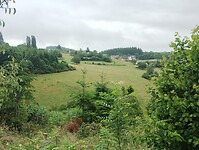 IMG_20250604_121747928