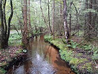 IMG_20250604_113047732