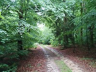 IMG_20250604_111602453