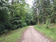 IMG_20250604_110114081
