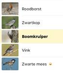Screenshot_20250604-104145