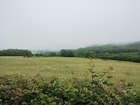 IMG_20250604_100703511