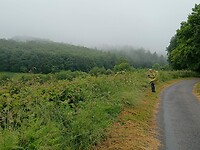 IMG-20250604-WA0004