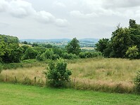 IMG_20250605_153607214