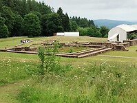 IMG_20250605_113433684